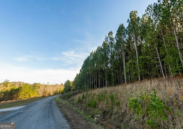 Photo 3 of Land for sale at 0 Sipsey Overlook Rd #LOT 130, Double Springs, AL 35553 | MLS# 10848271 | Listing updated on 2026-09-23