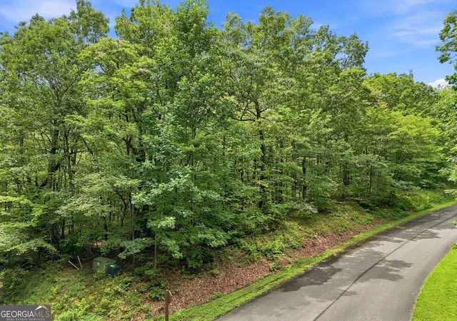 Photo 1 of Land for sale at Lot197 St Andrews Wy, Ellijay, GA 30536 | MLS# 10825528 | Listing updated on 2026-09-23