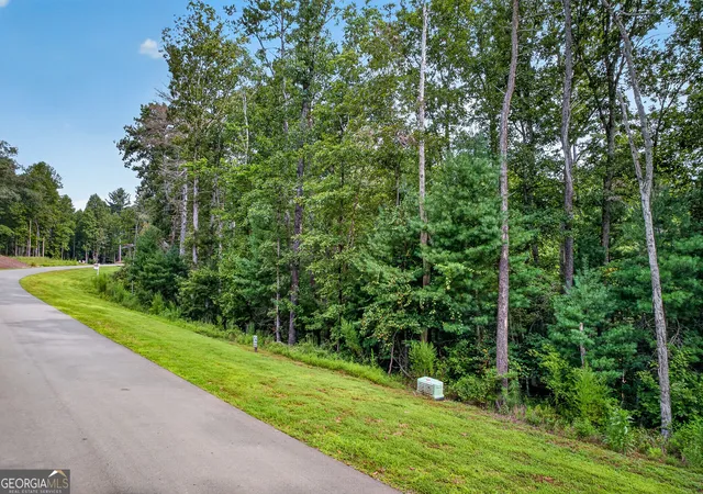 Photo 1 of Land for sale at Lot 14 Clear Crk Preserve Way, Ellijay, GA 30536 | MLS# 10837918 | Listing updated on 2026-09-15