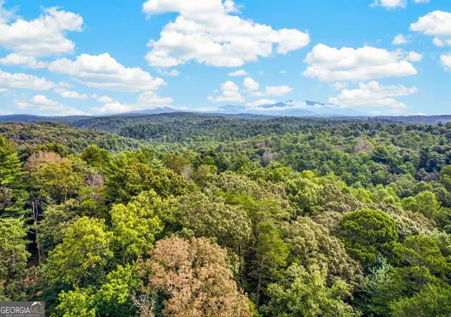 Photo 2 of Land for sale at Lot 14 Clear Crk Preserve Way, Ellijay, GA 30536 | MLS# 10837918 | Listing updated on 2026-09-15
