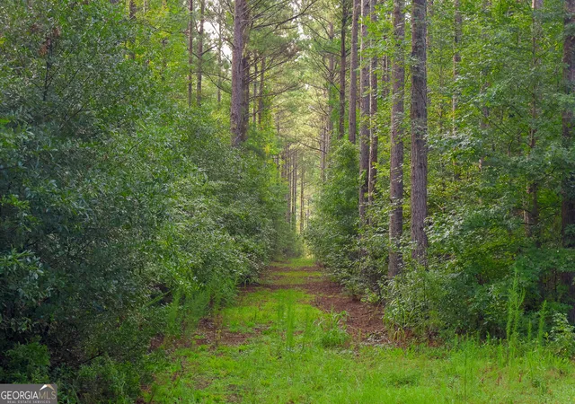 Photo 2 of Single family home for sale at 1362 Doyle Rd, Sardis, GA 30456 | MLS# 10836944 | Listing updated on 2026-09-15
