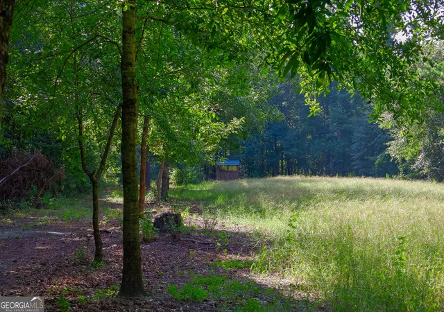 Photo 3 of Single family home for sale at 1362 Doyle Rd, Sardis, GA 30456 | MLS# 10836944 | Listing updated on 2026-09-15