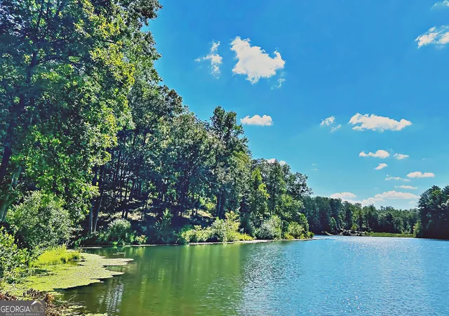 Photo 1 of Land for sale at 0 Pinnacle Dr, Ellijay, GA 30540 | MLS# 10847708 | Listing updated on 2026-09-17