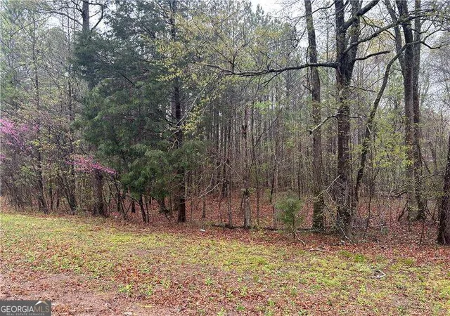 Photo 1 of Land for sale at 0 Walker Mountain Rd Sw, Rome, GA 30161 | MLS# 10839396 | Listing updated on 2026-09-17