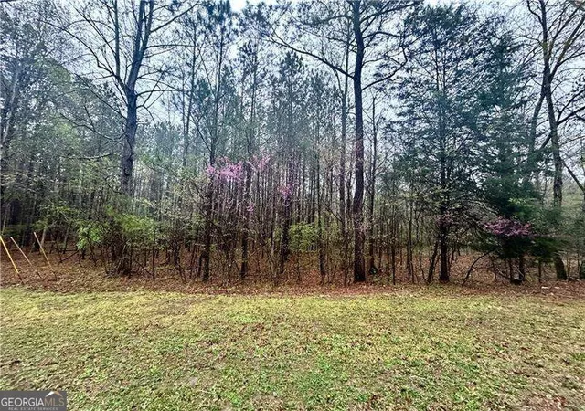 Photo 2 of Land for sale at 0 Walker Mountain Rd Sw, Rome, GA 30161 | MLS# 10839396 | Listing updated on 2026-09-17
