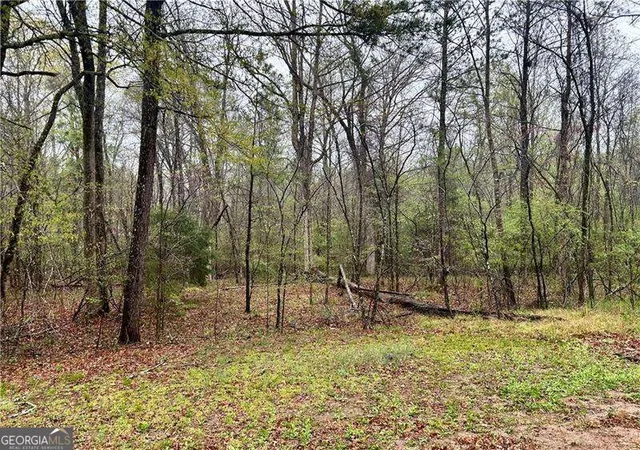 Photo 3 of Land for sale at 0 Walker Mountain Rd Sw, Rome, GA 30161 | MLS# 10839396 | Listing updated on 2026-09-17