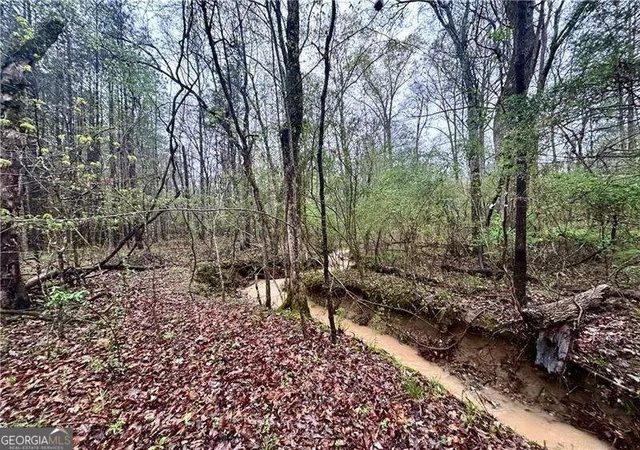 Photo 3 of Land for sale at 0 Walker Mountain Rd SW, Rome, GA 30161 | MLS# 10839396 | Listing updated on 2026-09-17