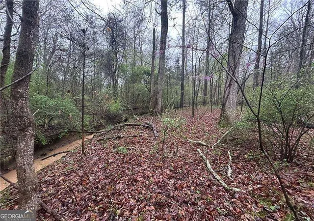 Photo 4 of Land for sale at 0 Walker Mountain Rd SW, Rome, GA 30161 | MLS# 10839396 | Listing updated on 2026-09-17