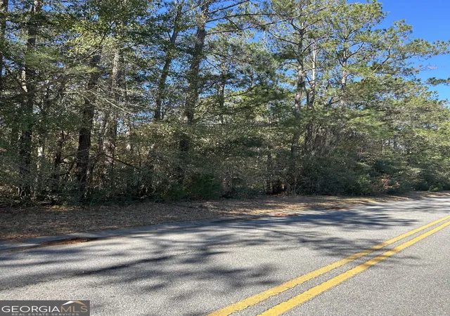 Photo 1 of Land for sale at Lot 4 Palm Is Dr, Midway, GA 31320 | MLS# 10848822 | Listing updated on 2026-10-02