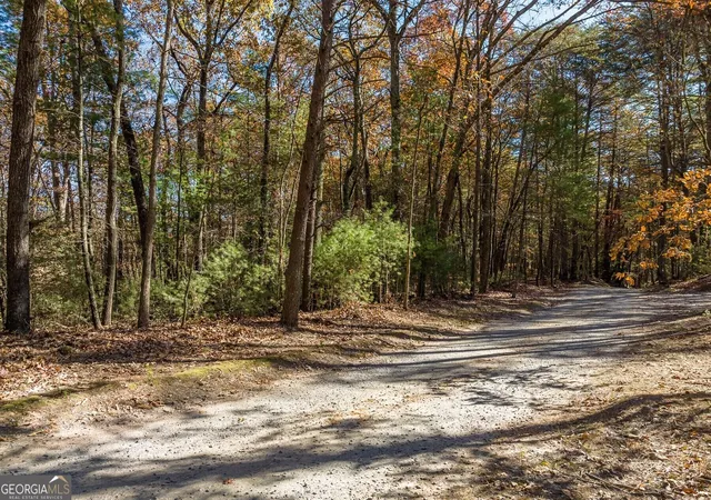 Photo 1 of Land for sale at Tr 2 Old Anderson Crk, Ellijay, GA 30536 | MLS# 10852441 | Listing updated on 2026-10-08