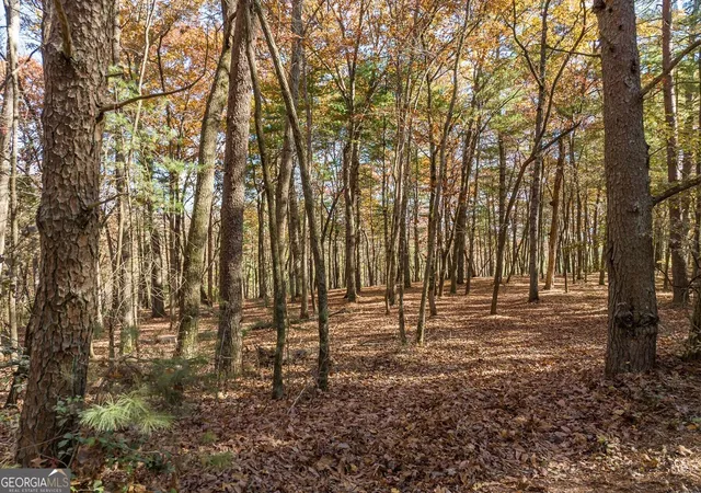 Photo 2 of Land for sale at Tr 2 Old Anderson Crk, Ellijay, GA 30536 | MLS# 10852441 | Listing updated on 2026-10-08