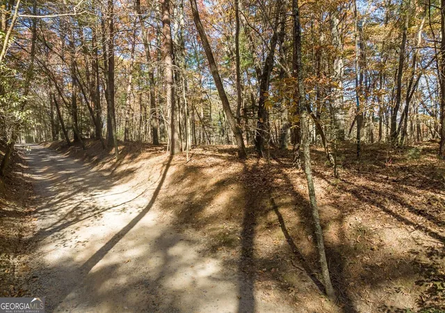 Photo 3 of Land for sale at Tr 2 Old Anderson Crk, Ellijay, GA 30536 | MLS# 10852441 | Listing updated on 2026-10-08