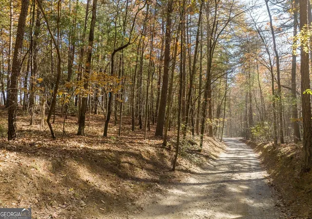 Photo 3 of Land for sale at Tr 2 Old Anderson Crk, Ellijay, GA 30536 | MLS# 10852441 | Listing updated on 2026-10-08