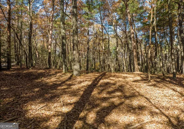 Photo 4 of Land for sale at Tr 2 Old Anderson Crk, Ellijay, GA 30536 | MLS# 10852441 | Listing updated on 2026-10-08