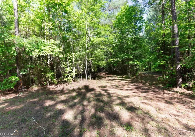 Photo 1 of Land for sale at 0 Apt To Miss Rd, Monticello, GA 31064 | MLS# 10846732 | Listing updated on 2026-10-06