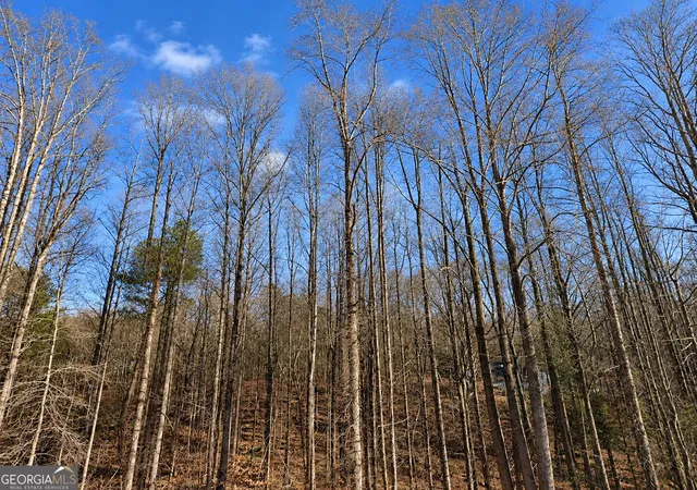 Photo 3 of Land for sale at 389 Acres Biscayne Pl, Gainesville, GA 30507 | MLS# 10850130 | Listing updated on 2026-09-22