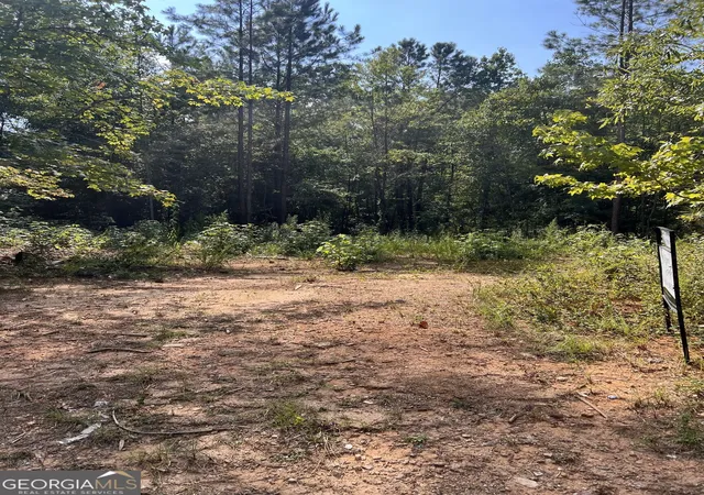 Land for sale at 1054 Nathan Jones Rd, Harlem, GA 30814 | MLS# 10841269