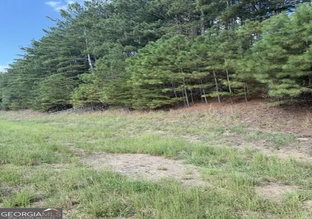 Photo 3 of Land for sale at 0 Fairview Rd, Ball Ground, GA 30107 | MLS# 10832663 | Listing updated on 2026-09-18