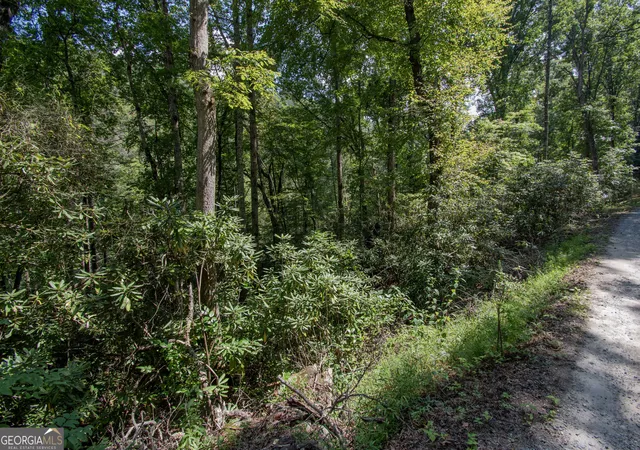Photo 2 of Land for sale at Lot 8 Snowbird Woods Rd, Robbinsville, NC 28771 | MLS# 10841809 | Listing updated on 2026-09-08