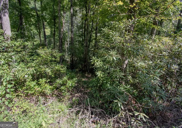 Photo 3 of Land for sale at Lot 8 Snowbird Woods Rd, Robbinsville, NC 28771 | MLS# 10841809 | Listing updated on 2026-09-08