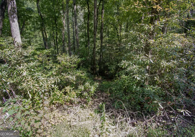 Photo 3 of Land for sale at Lot 8 Snowbird Woods Rd, Robbinsville, NC 28771 | MLS# 10841809 | Listing updated on 2026-09-08