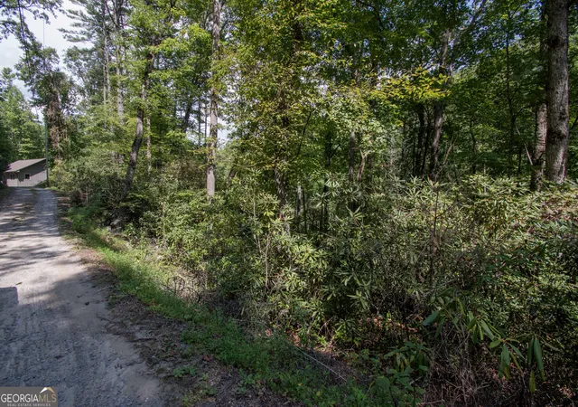 Photo 4 of Land for sale at Lot 8 Snowbird Woods Rd, Robbinsville, NC 28771 | MLS# 10841809 | Listing updated on 2026-09-08