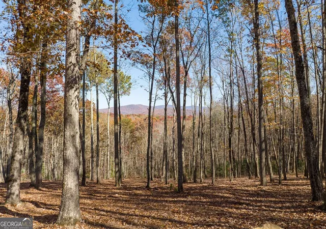 Photo 1 of Land for sale at 19r Settlement Trl, Ellijay, GA 30536 | MLS# 10852322 | Listing updated on 2026-10-08
