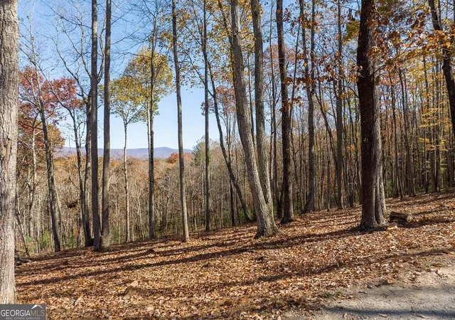 Photo 2 of Land for sale at 19r Settlement Trl, Ellijay, GA 30536 | MLS# 10852322 | Listing updated on 2026-10-08