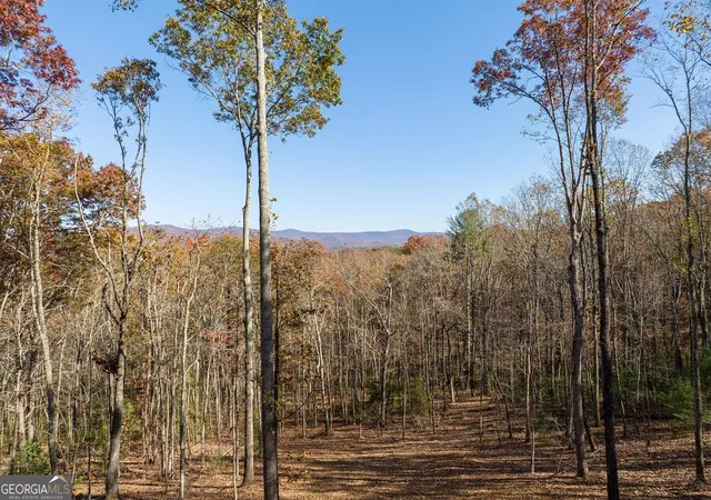 Photo 3 of Land for sale at 19r Settlement Trl, Ellijay, GA 30536 | MLS# 10852322 | Listing updated on 2026-10-08