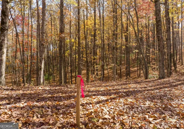 Photo 3 of Land for sale at 19r Settlement Trl, Ellijay, GA 30536 | MLS# 10852322 | Listing updated on 2026-10-08