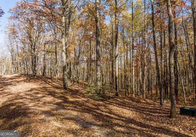 Photo 4 of Land for sale at 19r Settlement Trl, Ellijay, GA 30536 | MLS# 10852322 | Listing updated on 2026-10-08