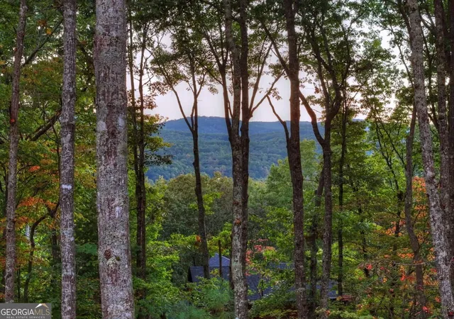 Photo 3 of Single family home for sale at 357 Spring Ridge Trl, Morganton, GA 30560 | MLS# 10872536 | Listing updated on 2026-10-28