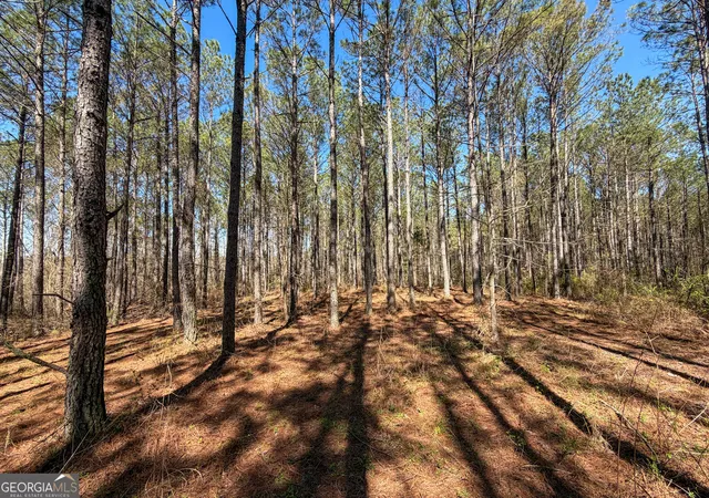 Photo 1 of Sale Pending at 24 +/ Acres On Ga Hwy 34 Tract 1, Franklin, GA 30217 | MLS# 10851627 | Listing updated on 2026-09-30