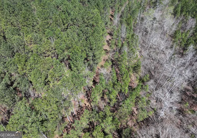 Photo 4 of Sale Pending at 24 +/ Acres On Ga Hwy 34 Tract 1, Franklin, GA 30217 | MLS# 10851627 | Listing updated on 2026-09-30