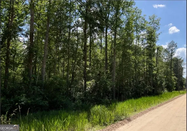 Land for sale at 485 James Knight Rd, Jesup, GA 31545 | MLS# 10841263