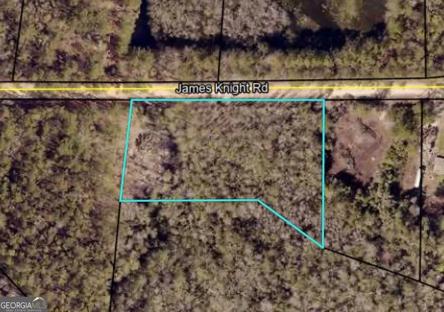 Photo 2 of Land for sale at 485 James Knight Rd, Jesup, GA 31545 | MLS# 10841263 | Listing updated on 2026-09-14