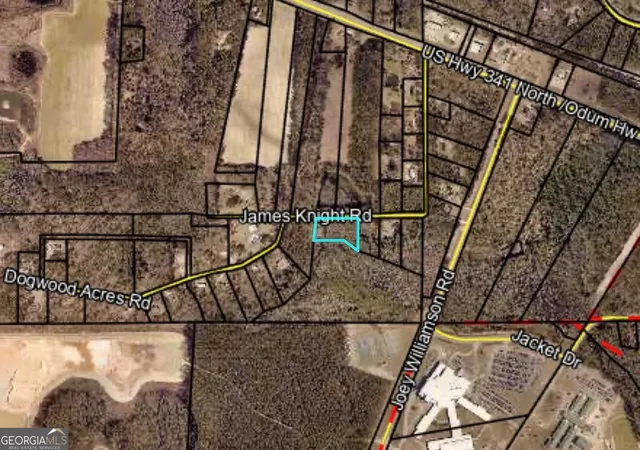 Photo 3 of Land for sale at 485 James Knight Rd, Jesup, GA 31545 | MLS# 10841263 | Listing updated on 2026-09-14