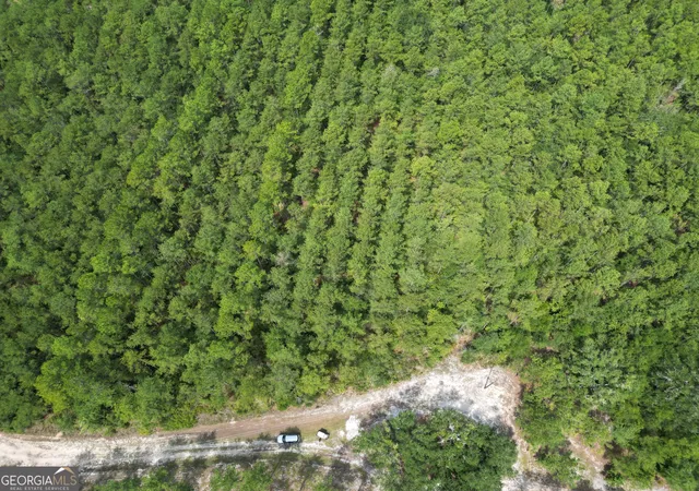 Photo 2 of Land for sale at 0 Emma Ln, Townsend, GA 31331 | MLS# 10838951 | Listing updated on 2026-09-17