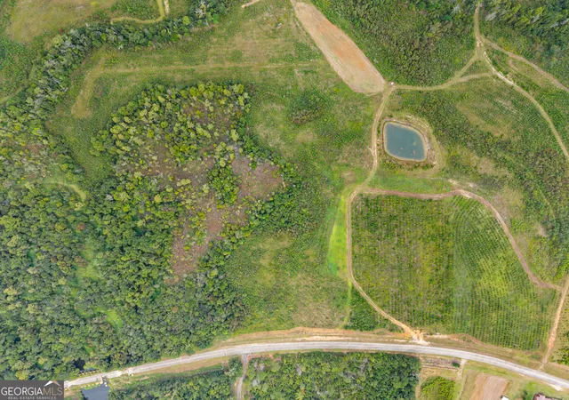 Photo 3 of Land for sale at 0 G W Oliver Rd #LOT 9, Statesboro, GA 30458 | MLS# 10852542 | Listing updated on 2026-10-08