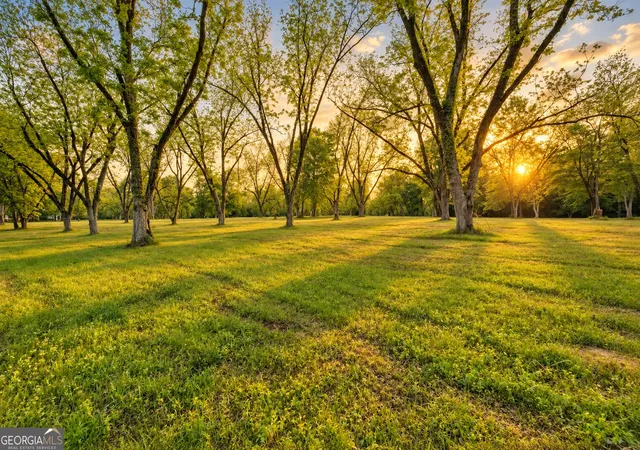 Land for sale at 117 Zebulon St, Milner, GA 30257 | MLS# 10761982