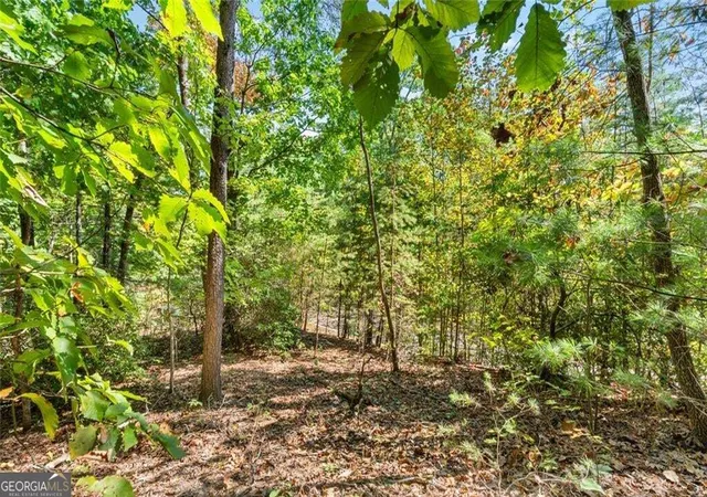 Photo 3 of Land for sale at 288 Blazingstar Trl, Big Canoe, GA 30143 | MLS# 10842501 | Listing updated on 2026-09-23