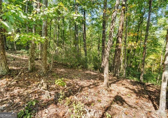 Photo 3 of Land for sale at 288 Blazingstar Trl, Big Canoe, GA 30143 | MLS# 10842501 | Listing updated on 2026-09-23