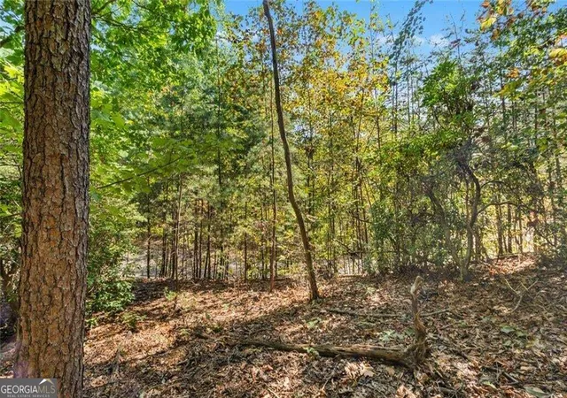 Photo 4 of Land for sale at 288 Blazingstar Trl, Big Canoe, GA 30143 | MLS# 10842501 | Listing updated on 2026-09-23