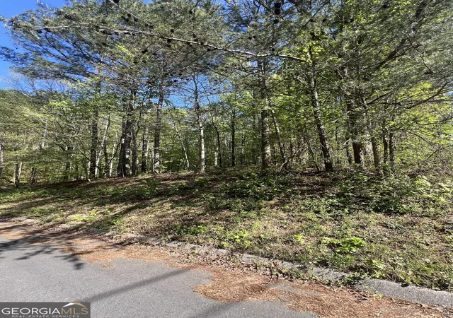 Photo 2 of Land for sale at Lot #4 Battle Ridge Dr, Dalton, GA 30720 | MLS# 10846465 | Listing updated on 2026-09-30