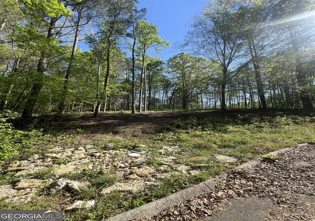 Photo 3 of Land for sale at Lot #4 Battle Ridge Dr, Dalton, GA 30720 | MLS# 10846465 | Listing updated on 2026-09-30
