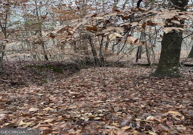 Photo 1 of Land for sale at 0 N Pointe Dr, Tignall, GA 30668 | MLS# 10837139 | Listing updated on 2026-09-15
