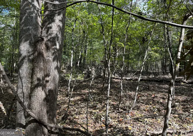 Photo 2 of Land for sale at 0 N Pointe Dr, Tignall, GA 30668 | MLS# 10837139 | Listing updated on 2026-09-15