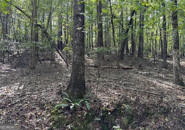 Photo 3 of Land for sale at 0 N Pointe Dr, Tignall, GA 30668 | MLS# 10837139 | Listing updated on 2026-09-15