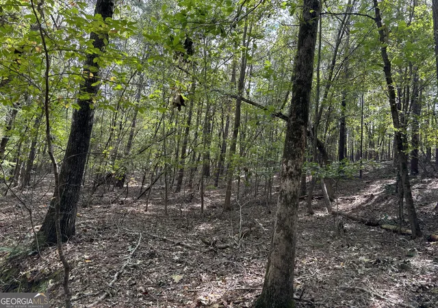 Photo 4 of Land for sale at 0 N Pointe Dr, Tignall, GA 30668 | MLS# 10837139 | Listing updated on 2026-09-15