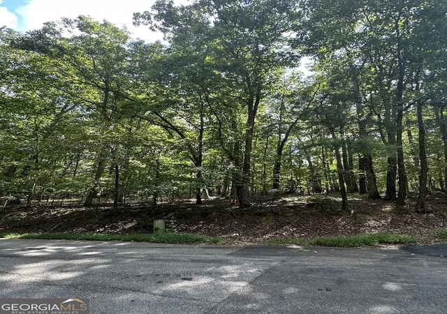 Photo 2 of Land for sale at 6034 Belle Meade Ct, Villa Rica, GA 30180 | MLS# 10837934 | Listing updated on 2026-09-15